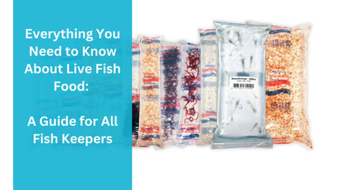 Everything You Need to Know About Live Fish Food: A Guide for All Fish Keepers