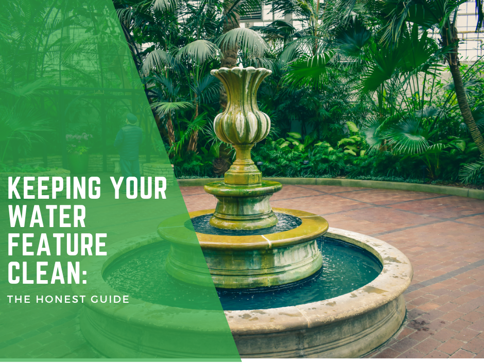 Keeping Your Water Feature Clean: The Honest Guide