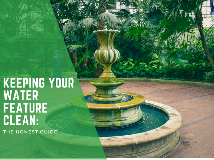 Keeping Your Water Feature Clean: The Honest Guide