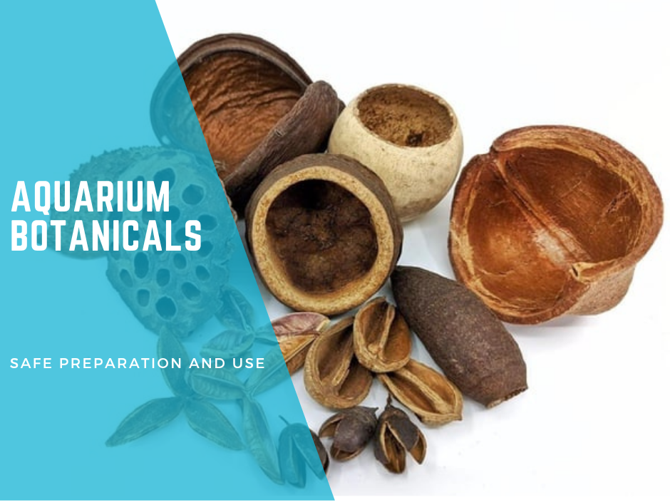 Aquarium Botanicals: A Comprehensive Guide to Safe Preparation and Use