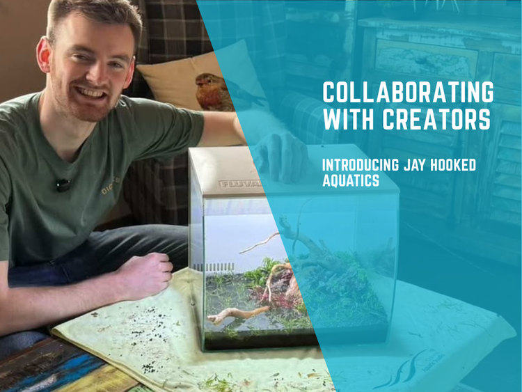 Meet the Creator: Jay from Hooked Aquatics