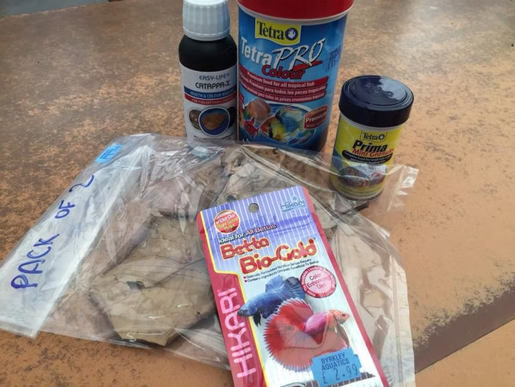 Ultimate Guide to Feeding the best food for Your Betta Fish: Diet, Nutrition, and Tips for Optimal Health