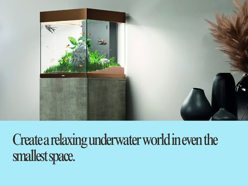 Low-Maintenance Pets: Why Fish Are a Great Choice (With Proper Care!)