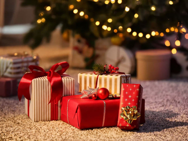Dive into Delight: The Ultimate Christmas Gift Guide for Aquarists and Aquascapers