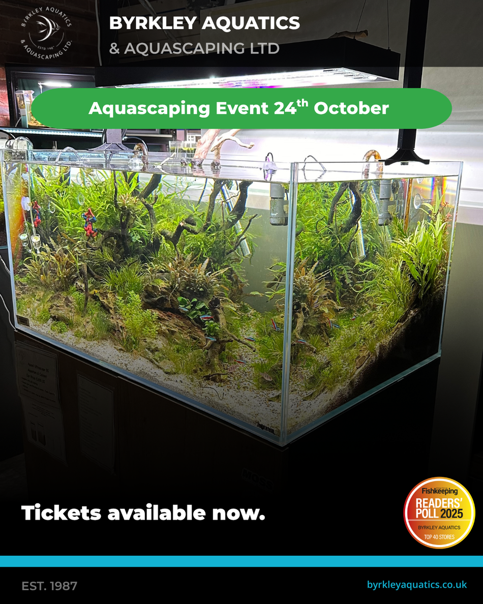 Aquascaping 24th October with Adam & Jay