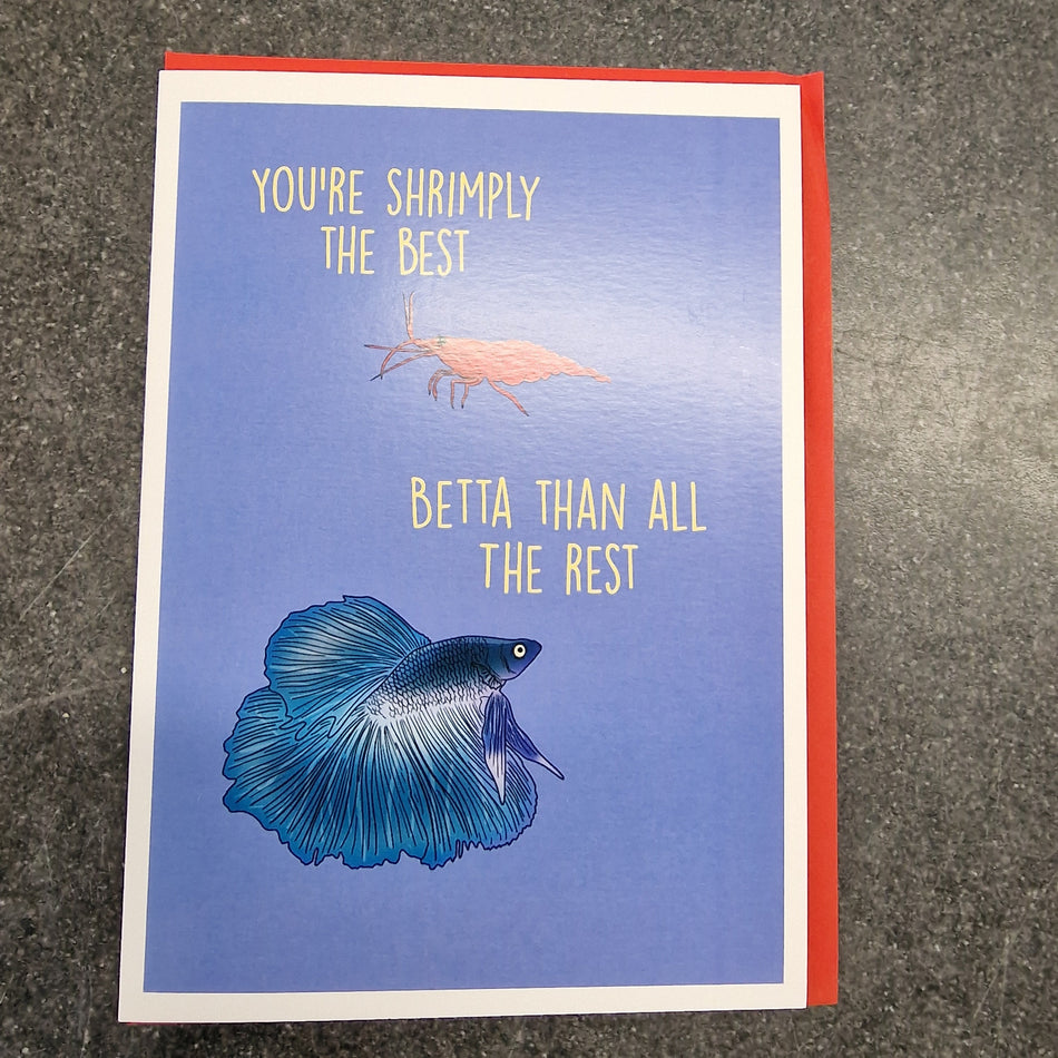 Shrimp & Betta Greetings Card