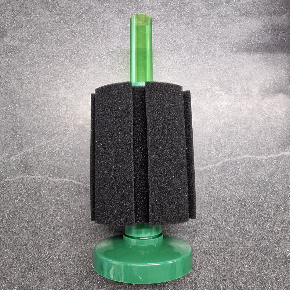 Medium Sponge Filter