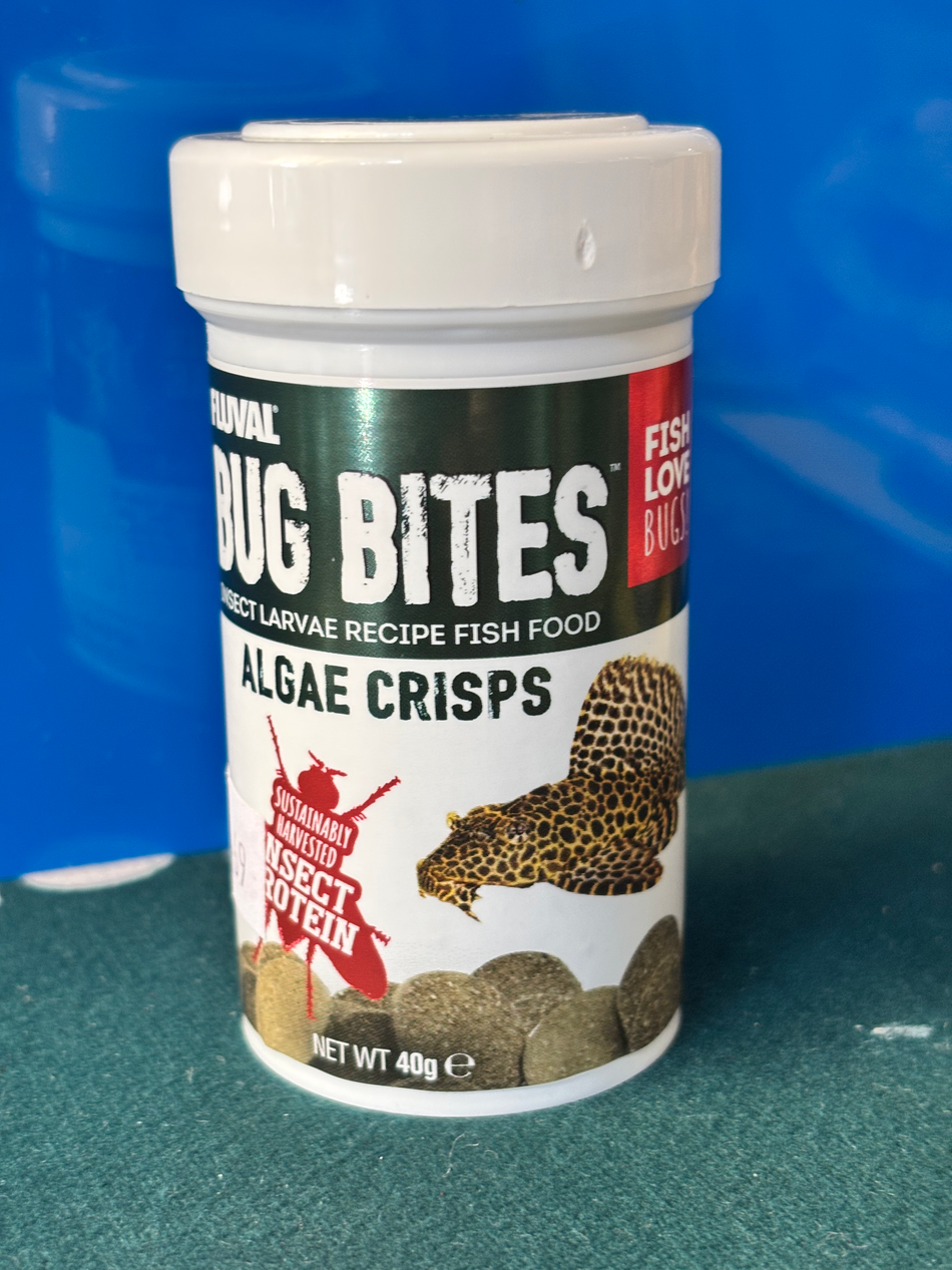Bug Bites Algae Crisps
