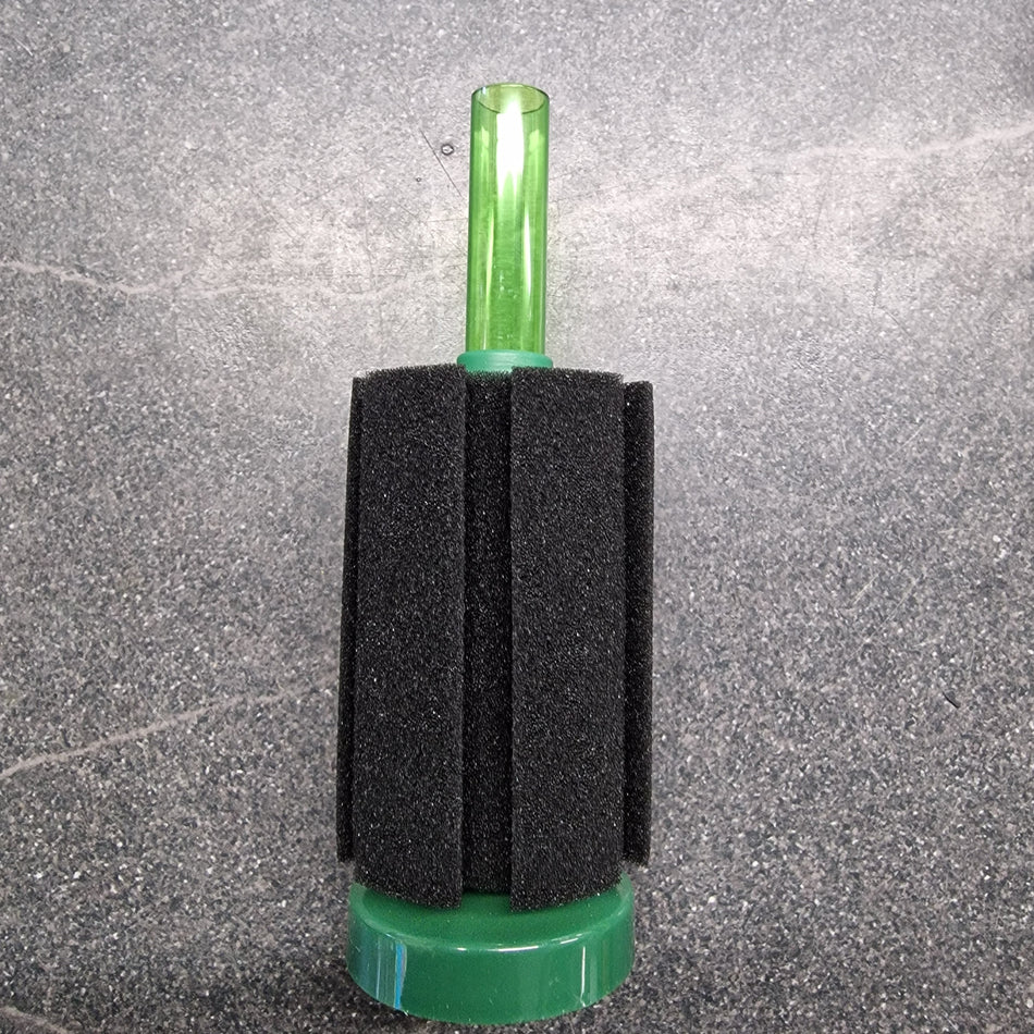 Small Sponge Filter