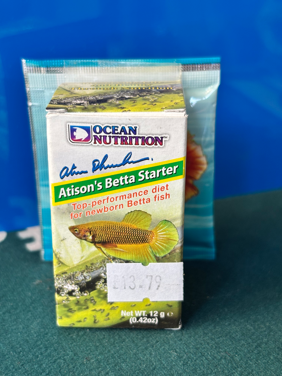 Atisons Betta Starter