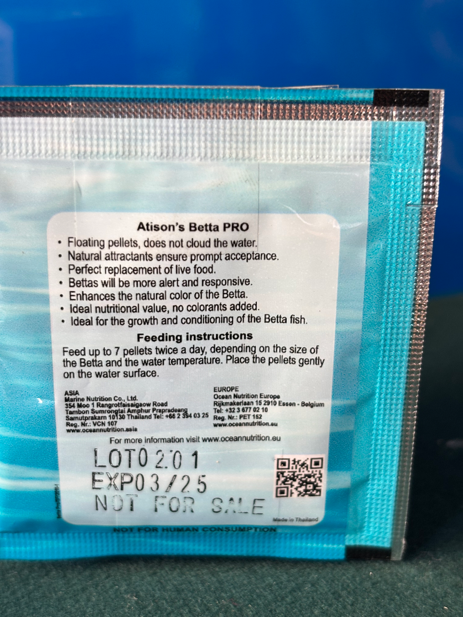 Atisons Betta Starter