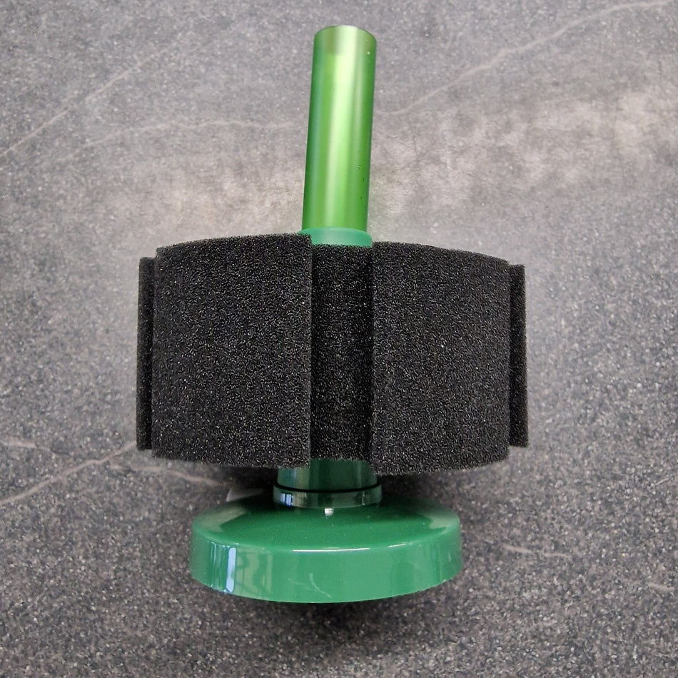 Shallow Sponge Filter