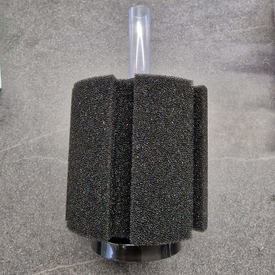 Large Sponge Filter