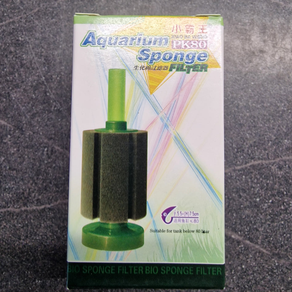 Small Sponge Filter