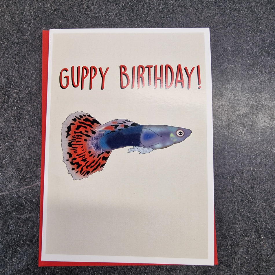 Guppy Birthday Greetings Card
