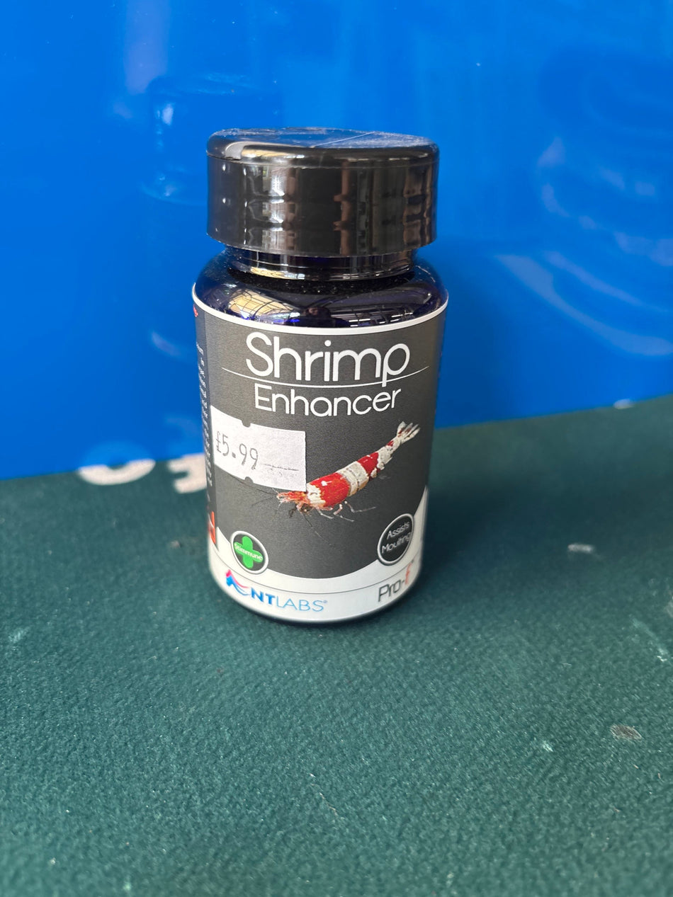 Shrimp Enhancer