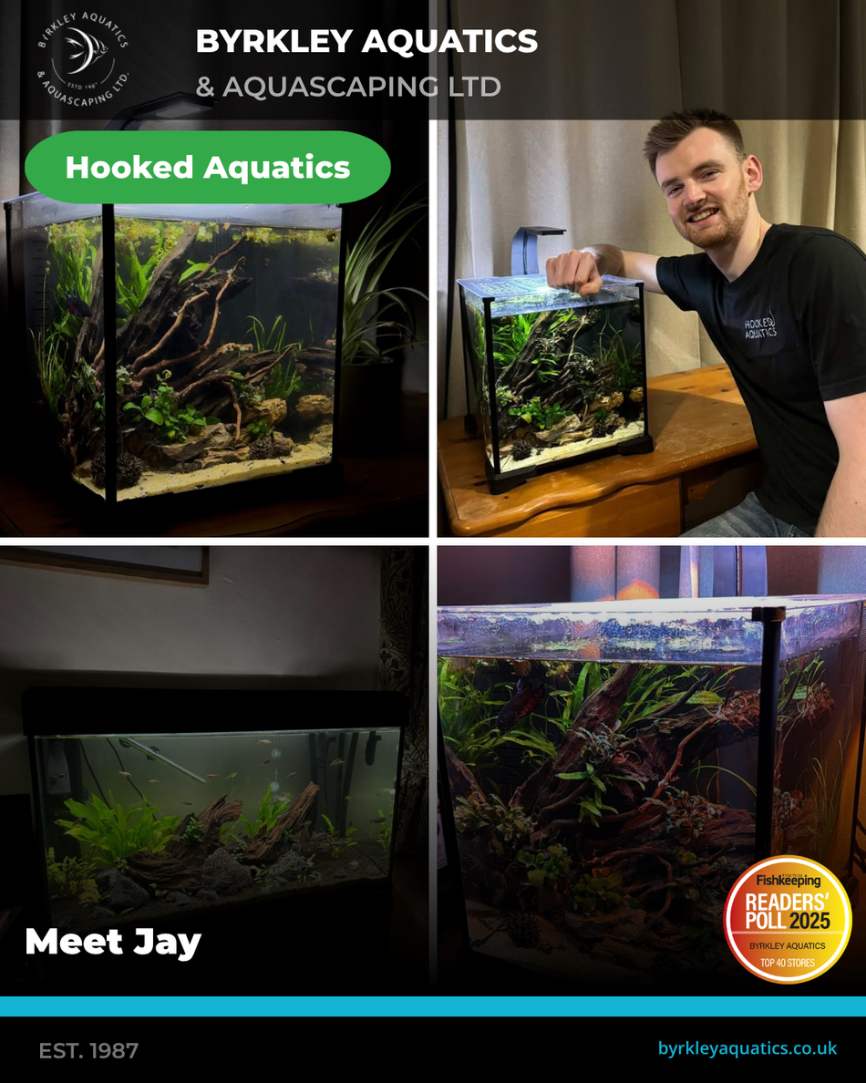 Aquascaping 24th October with Adam & Jay