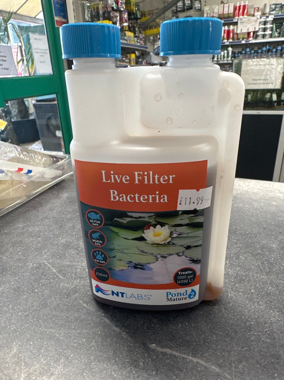 Nt Labs Mature Live Filter Bacteria 250Ml