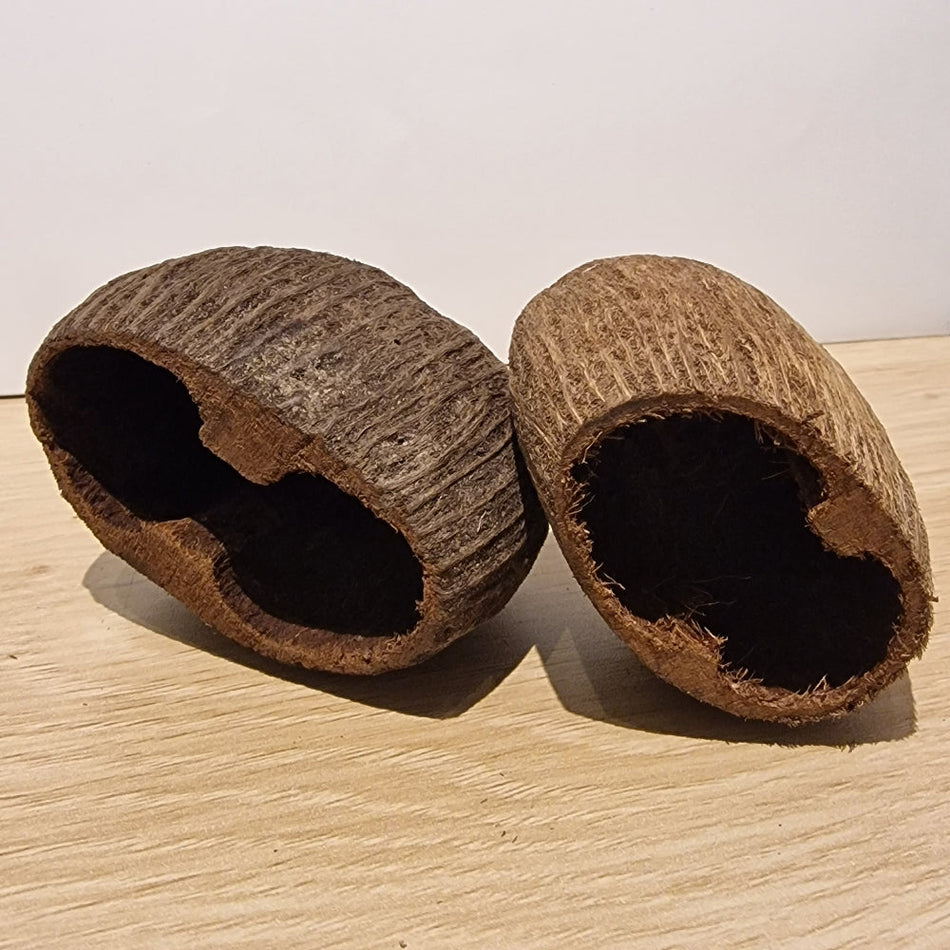 Pal Pods Aquarium Botanicals