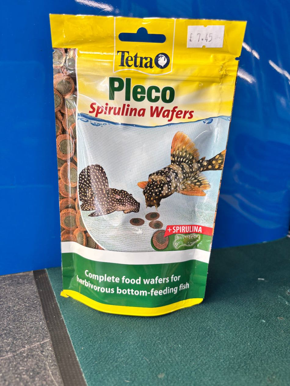 Pleco Spirulina Wafers