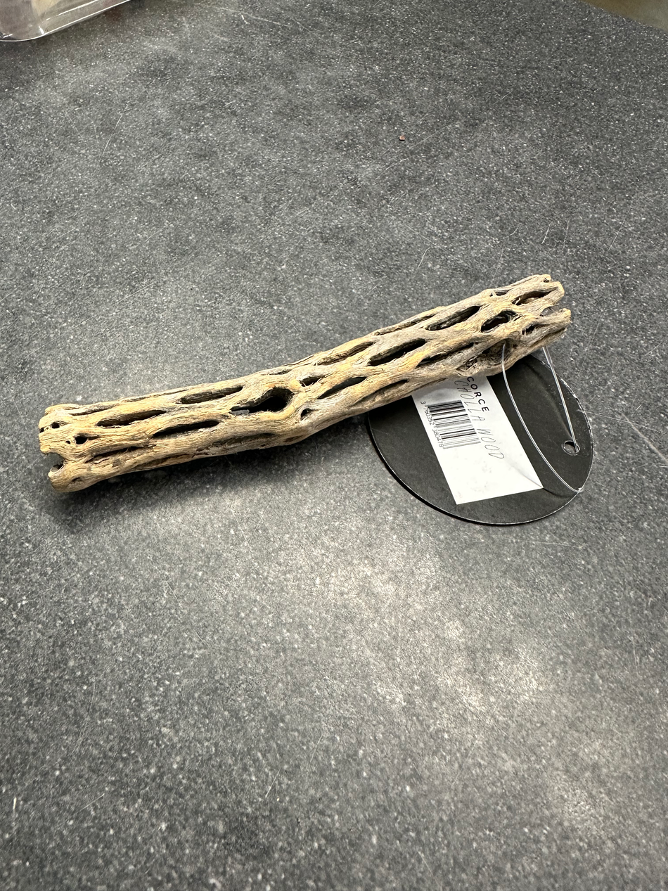 Cholla Wood Pieces.