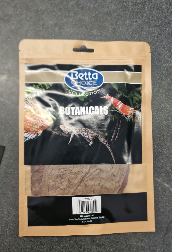 Catappa Leaves M X15