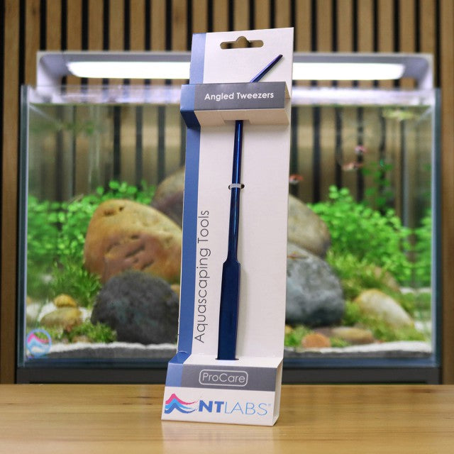 Nt Labs Procare Angled Tweezers.