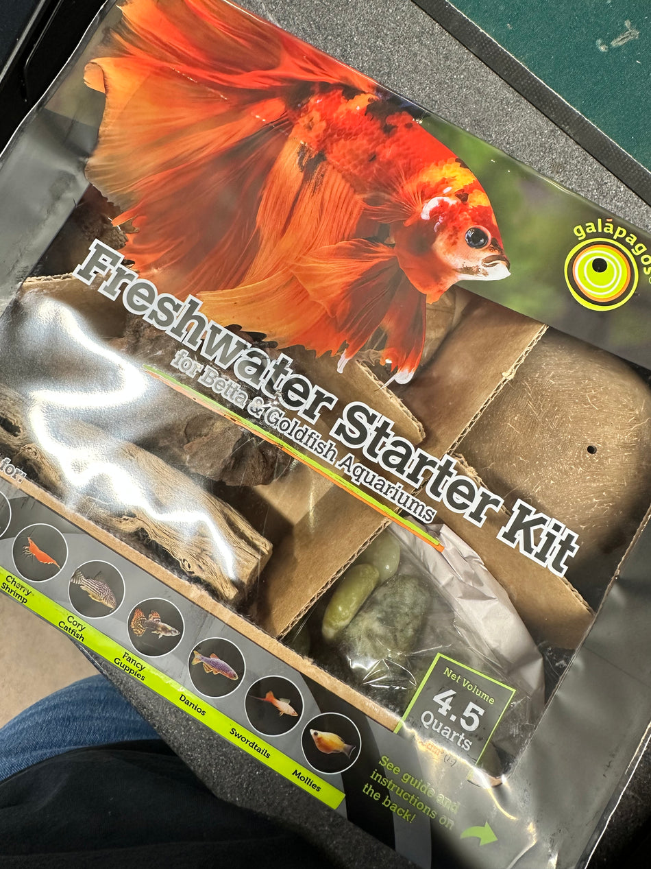 Galapagos Betta starter kit