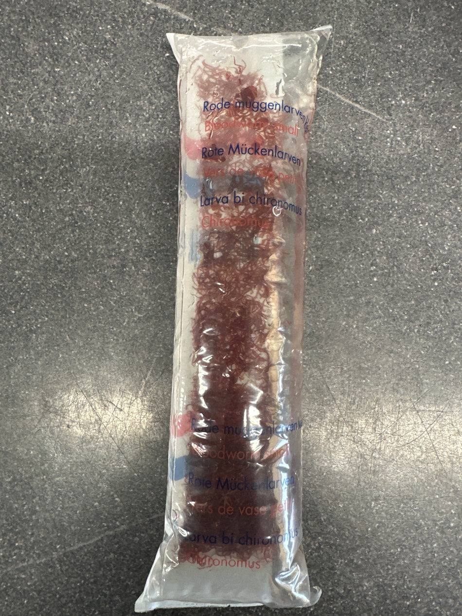 Live Bloodworm Small 100Ml Bag