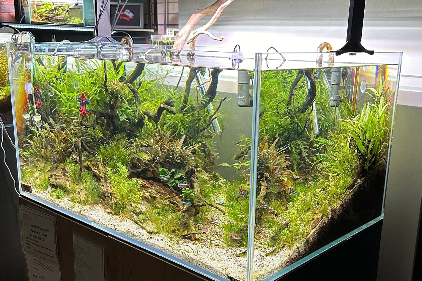 A large rectangular aquarium on a wooden cabinet base, filled with green aquatic plants and driftwood, under a black hanging LED light in what appears to be a store or room setting.