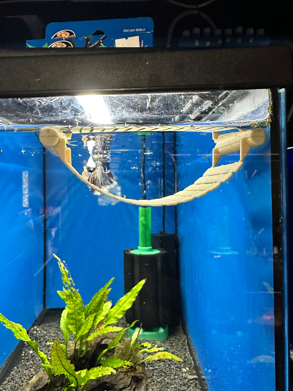 Betta Floating Lounge (Zoo Med)