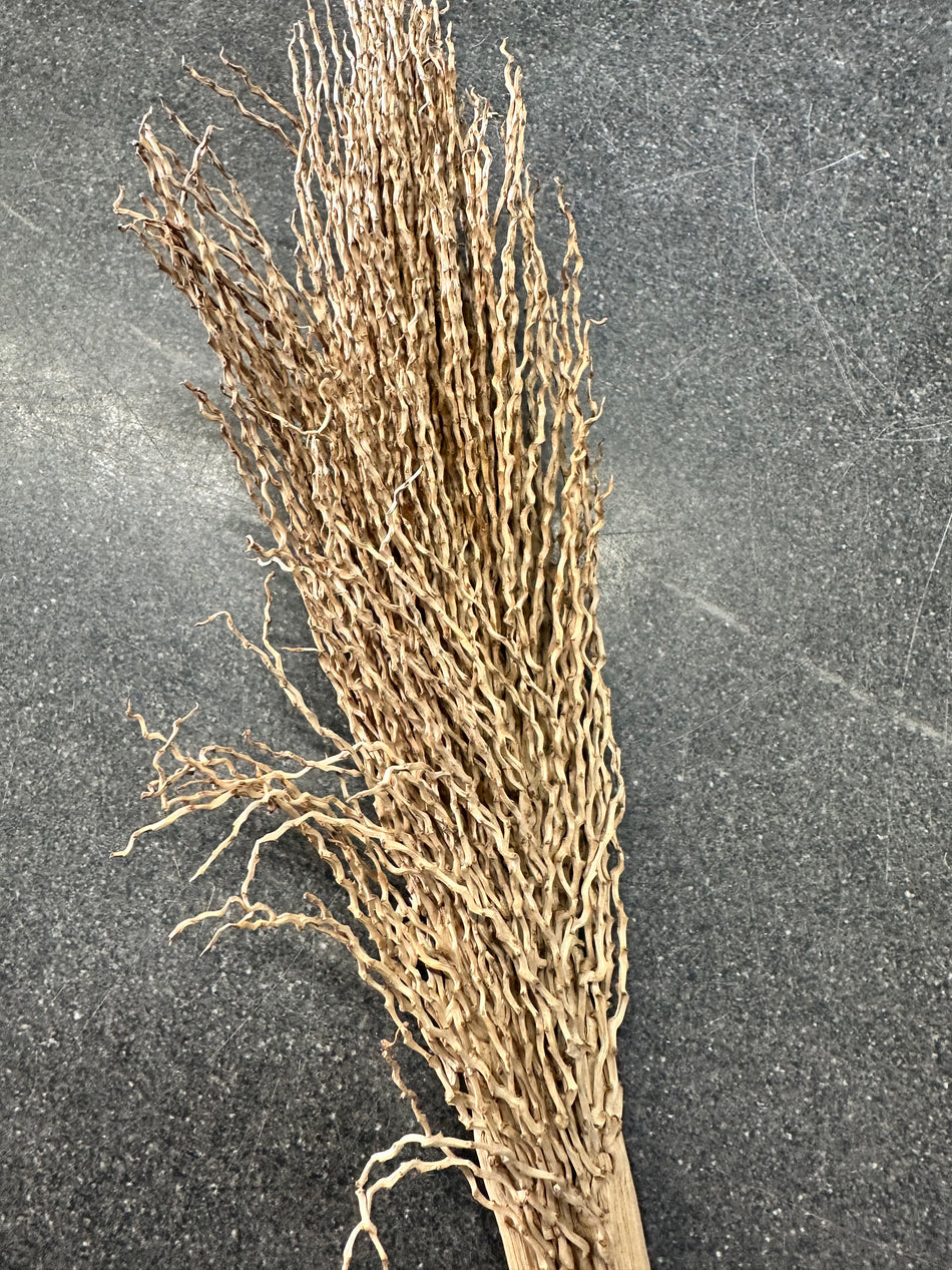 Palm Twirls - Brush like
