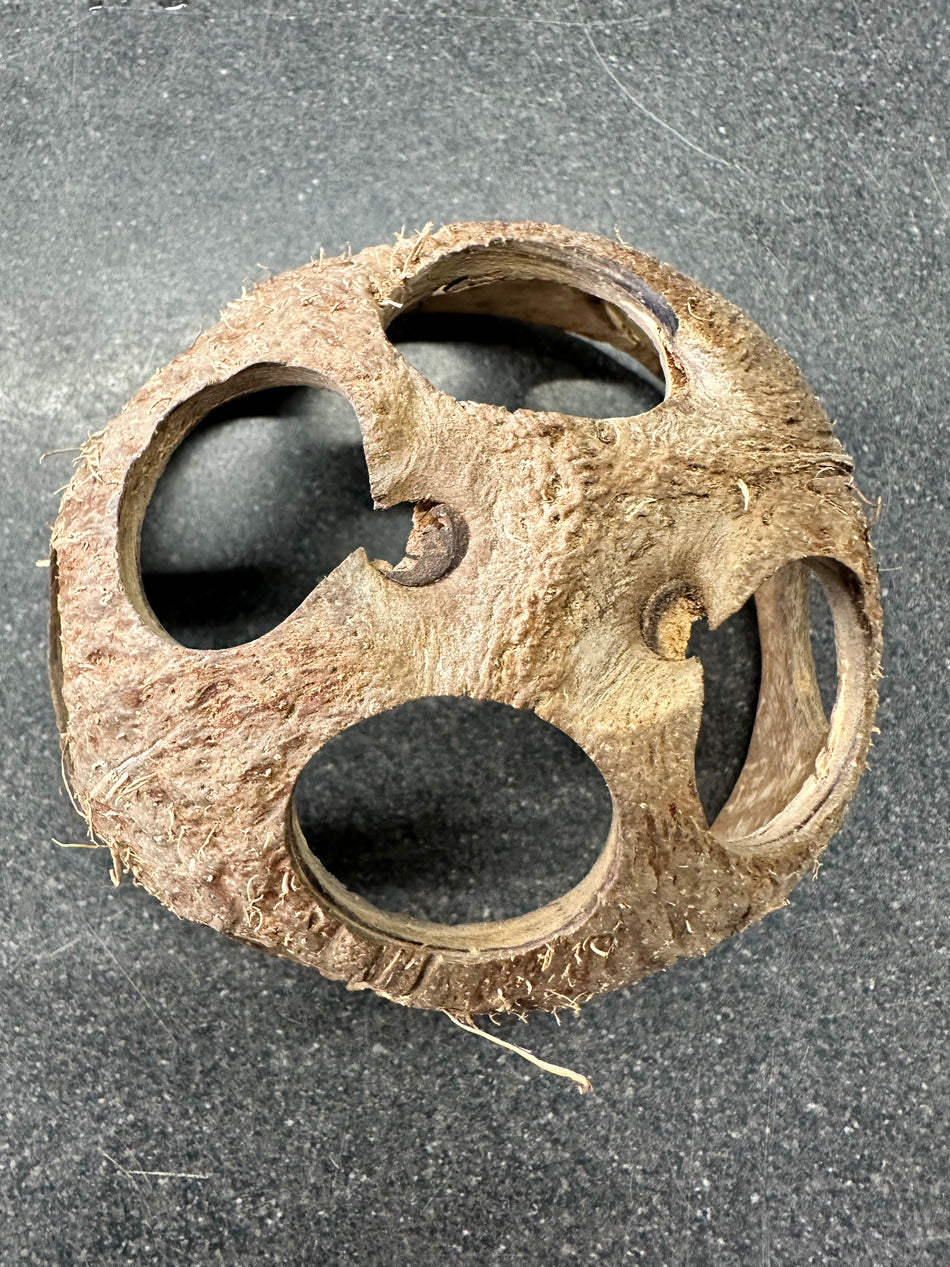 Multi hole coconut cave