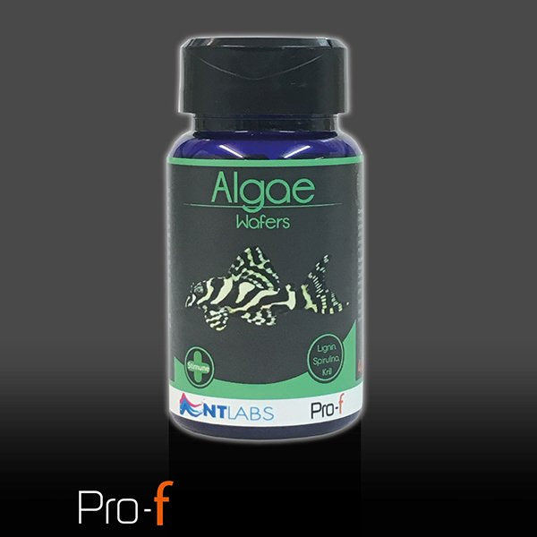 Nt Labs Algae Wafer 40g