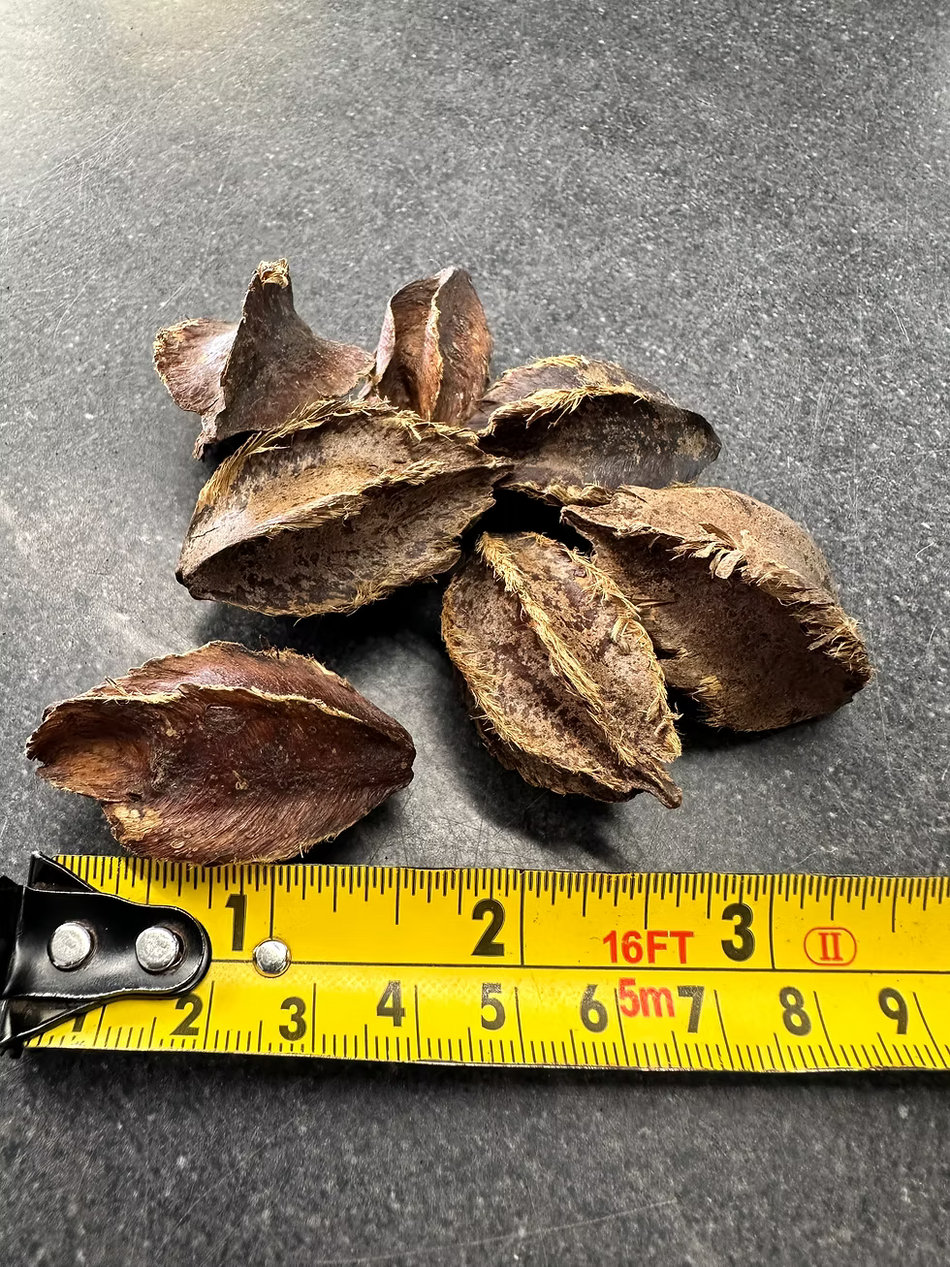 Arjuna Pods