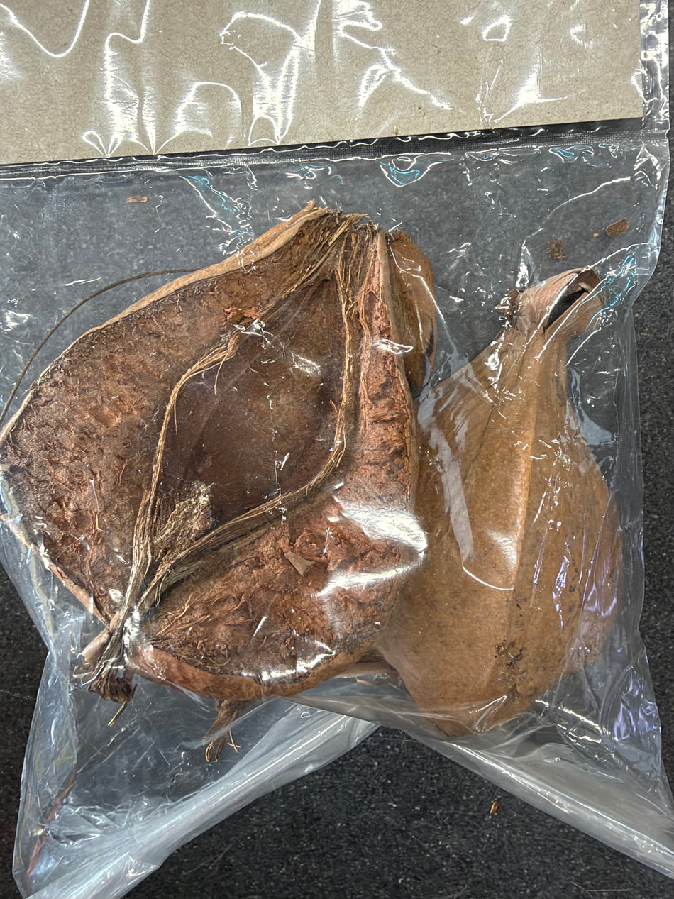 Negombo tree pod Natural Botanicals