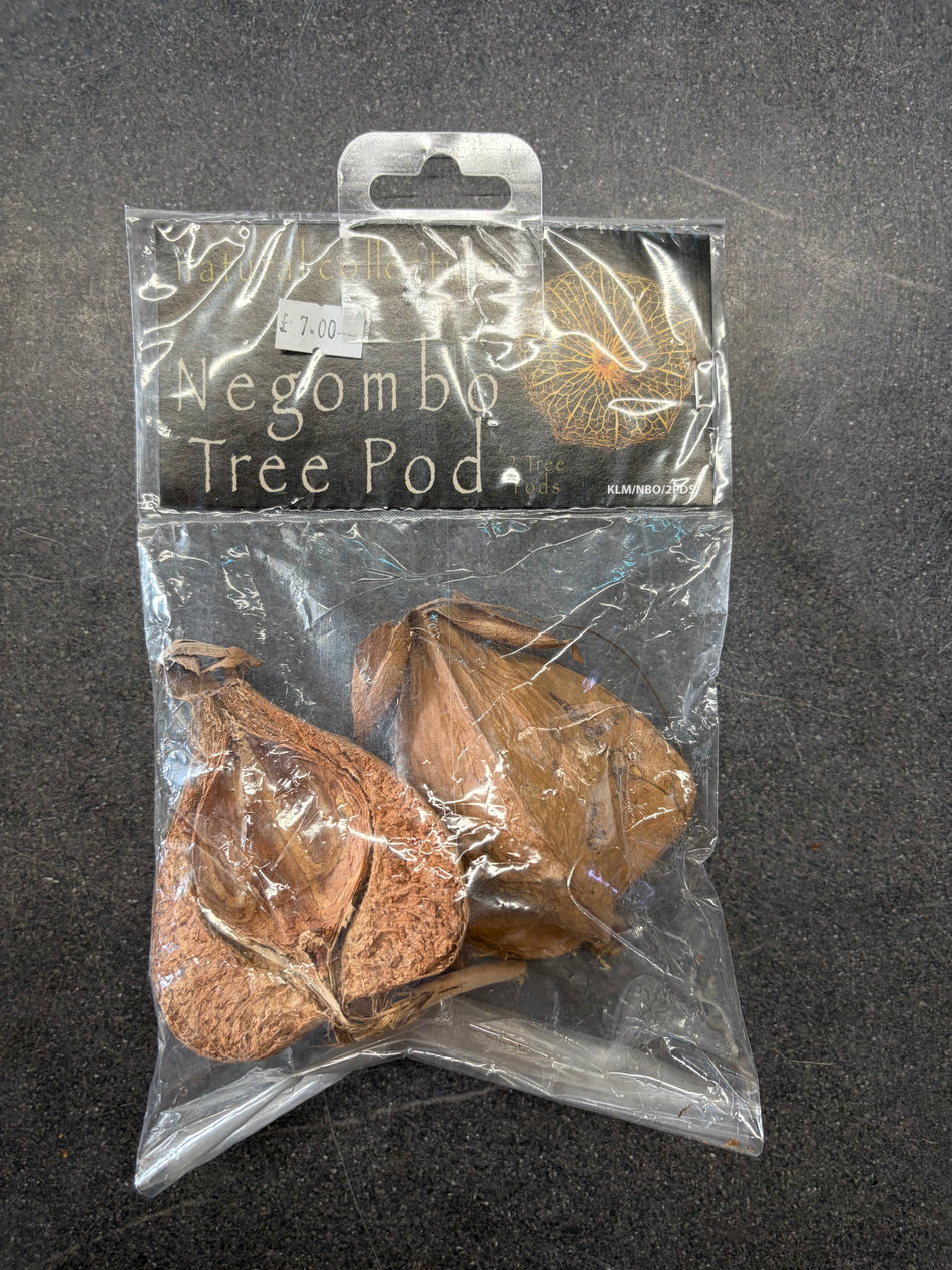 Negombo tree pod Natural Botanicals