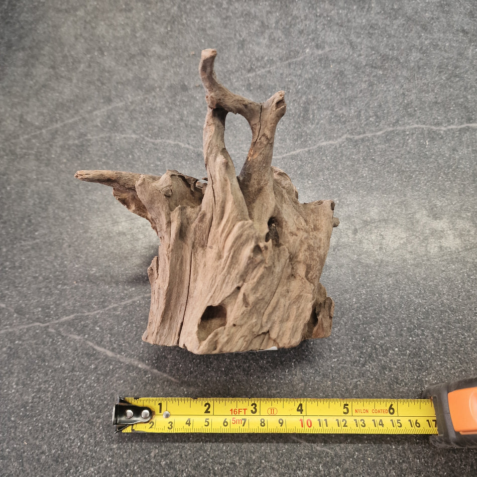 Selected Corbo Wood No. 6