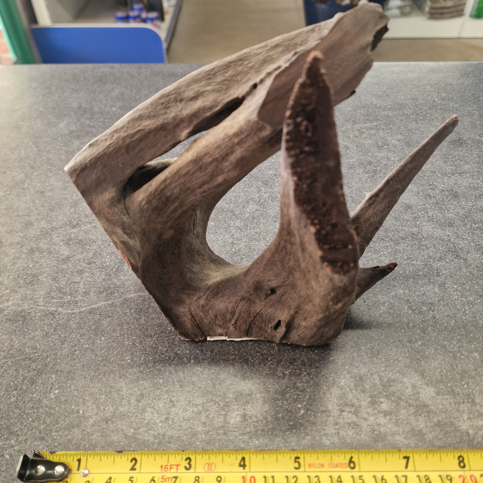 Selected Corbo Root No.4