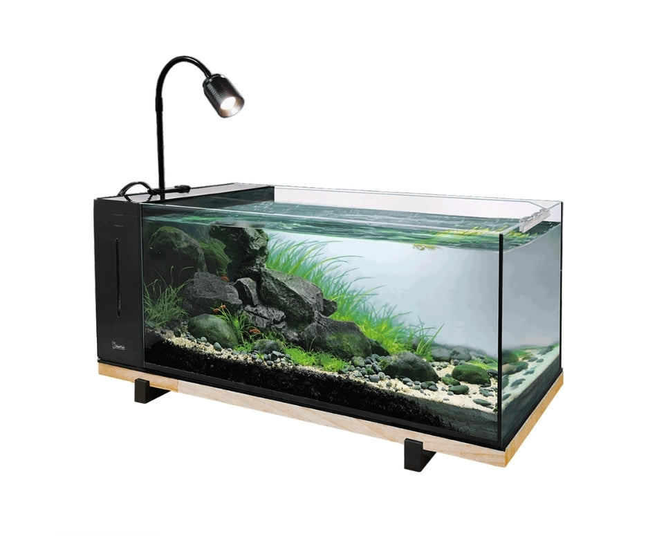 SF River Aquarium 60