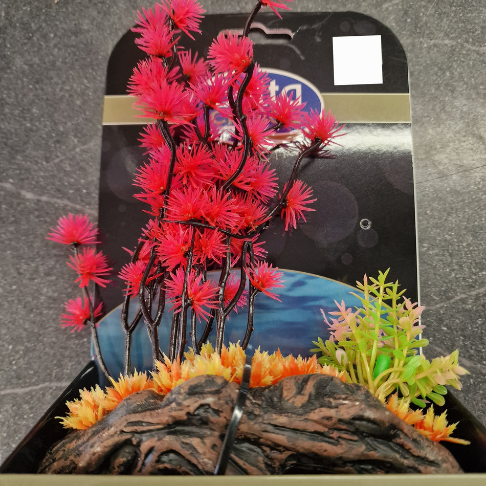 Betta Choice Mini Air Gdns - Lotus Fl
