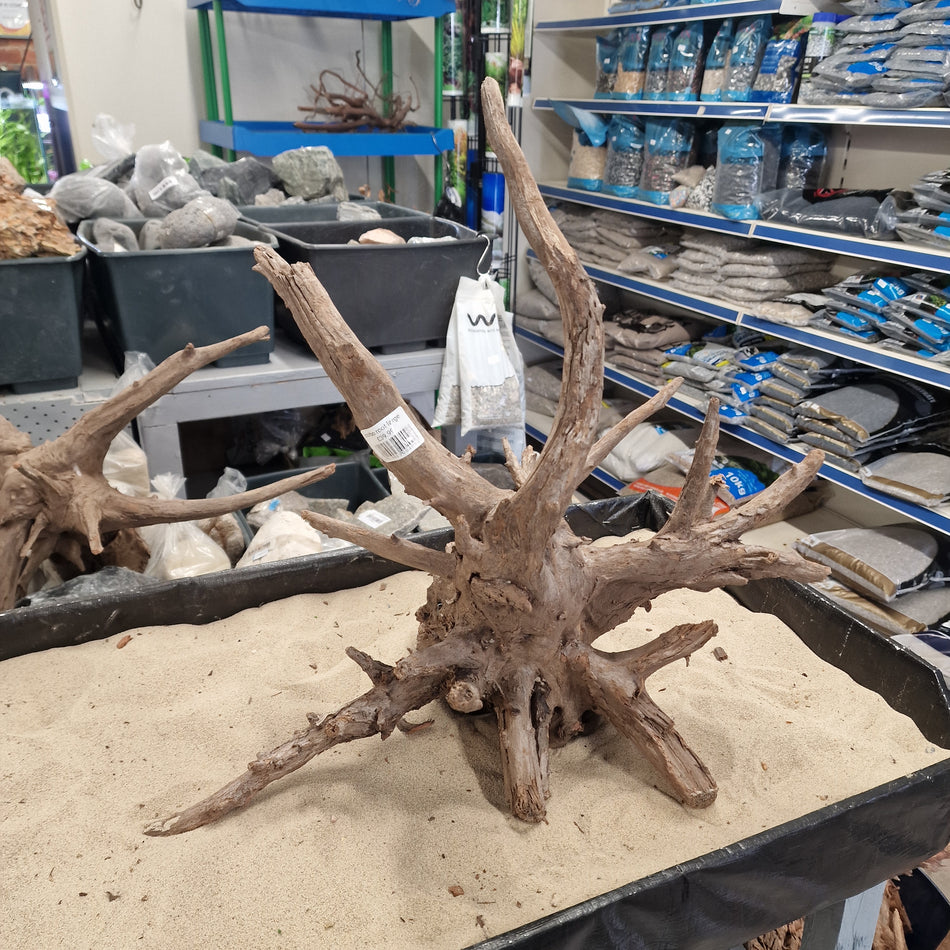 Selected Corbo wood Large No.1