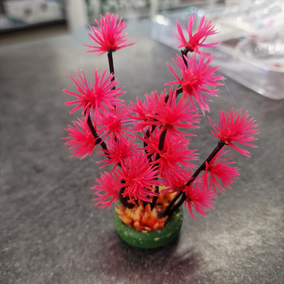 Betta Choice XS Pink Lotus Flower