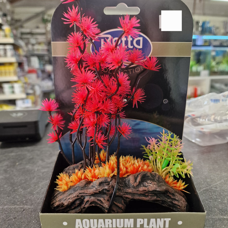 Betta Choice Mini Air Gdns - Lotus Fl