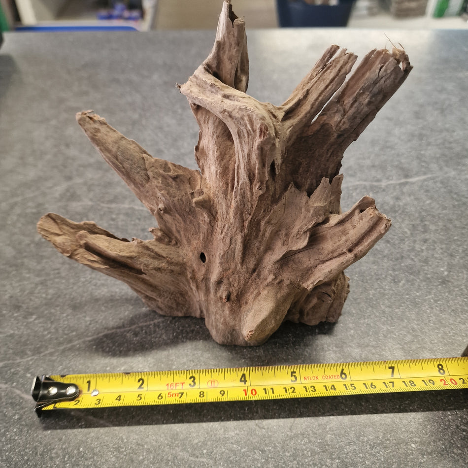 Selected Corbo Wood No. 7