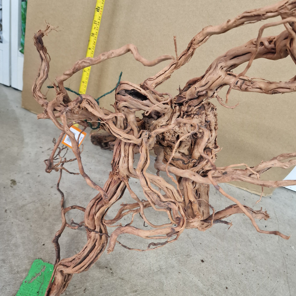 Selected Twisted vine root XL No.1