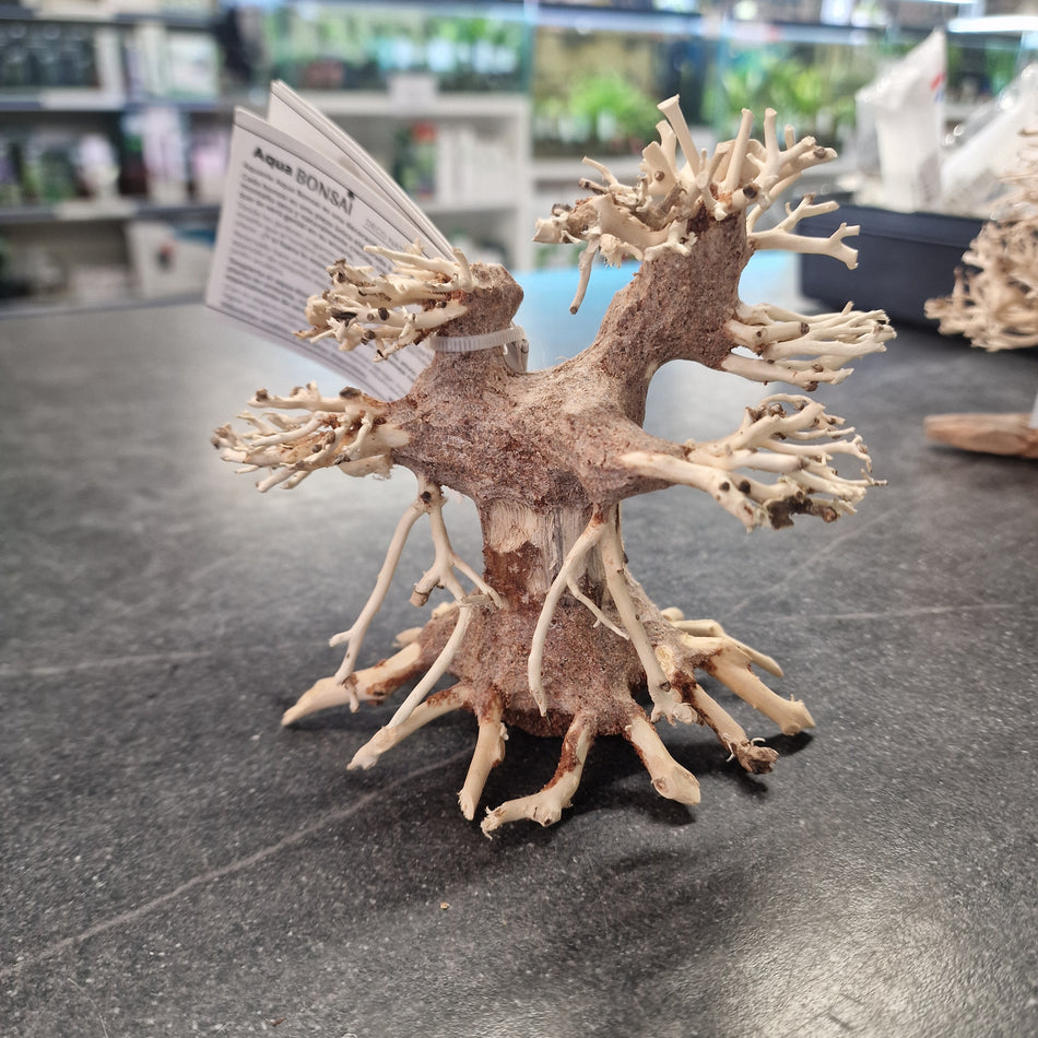 Aqua Bonsai XS