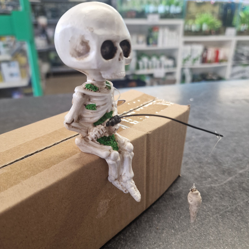 Betta Sitting Fishing Skeleton