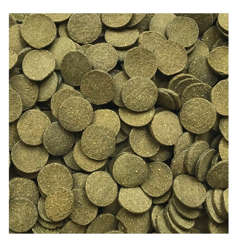 Bug bites Algae crisps 40g