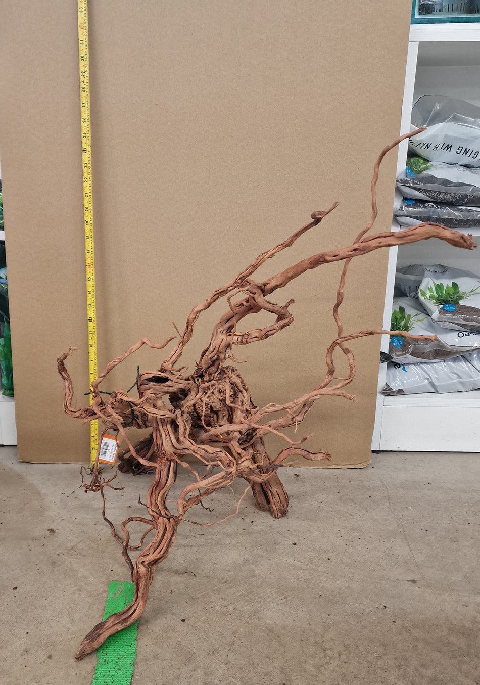 Selected Twisted vine root XL No.1